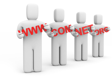 Domain name renewal costs